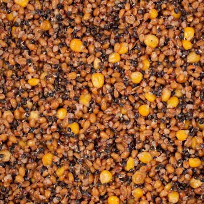 Зерновая смесь MINENKO Spod Mix Garlic (1кг)