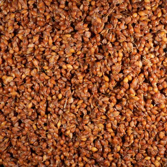 Зерновая смесь MINENKO Wild Wheat (1кг) Дикая пшеница